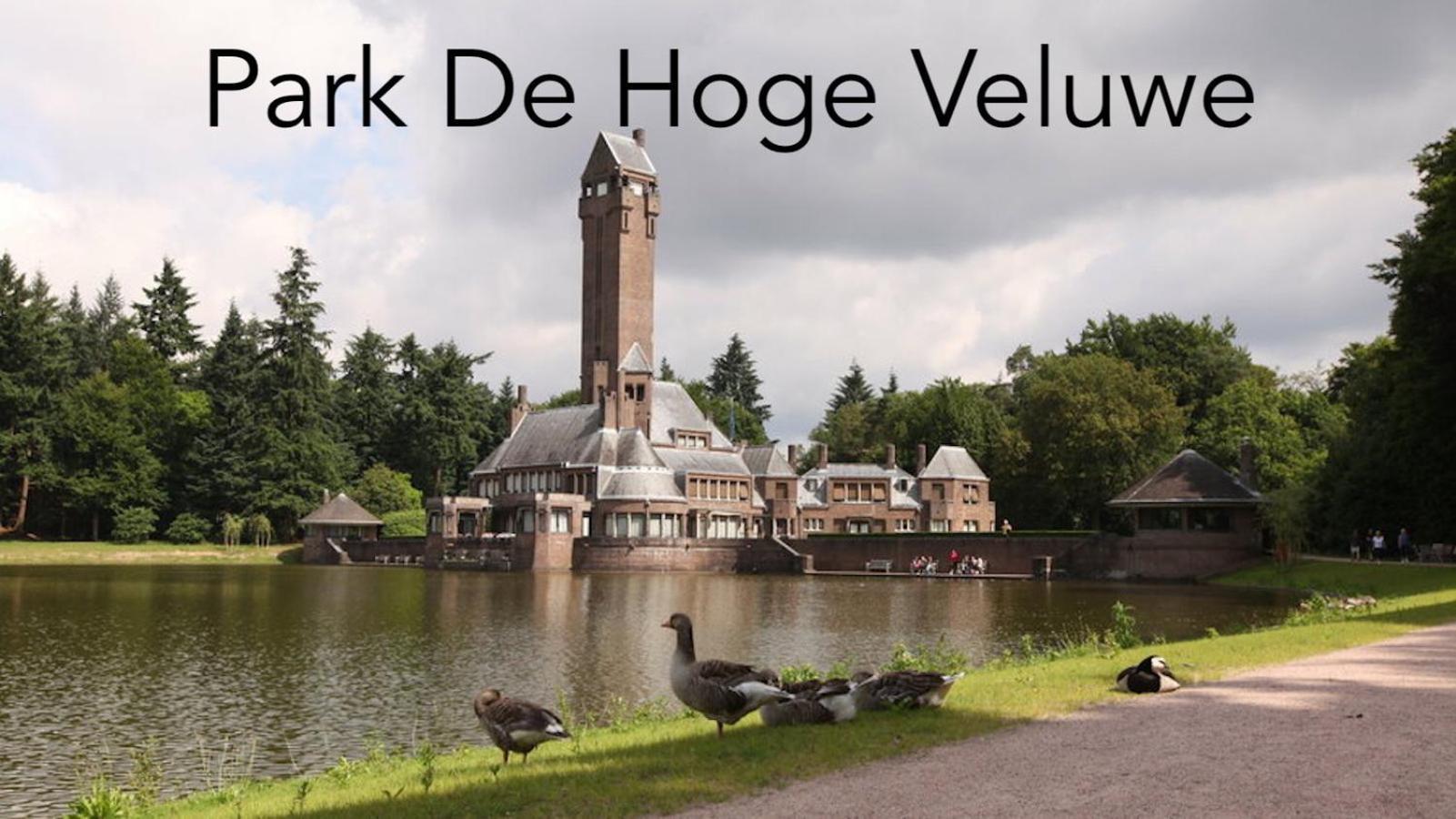 Omheind Natuurhuisje, Prive En Licht, Voorthuizen Veluwe, Naast Het Bos, Zeer Rustig Exterior foto